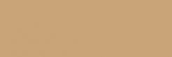 Absolute Beige